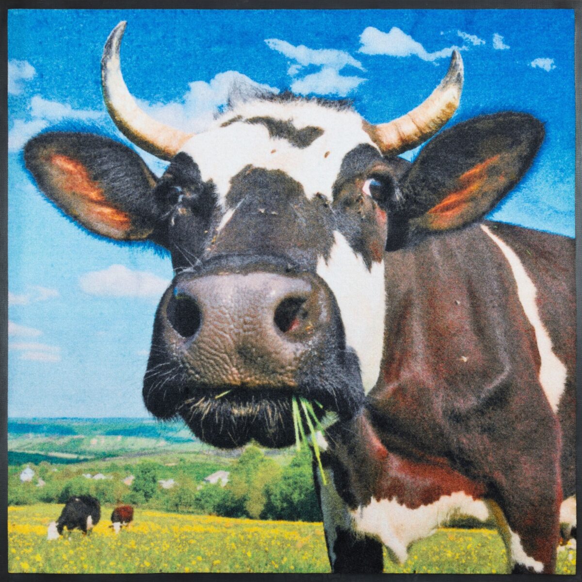 MATA WEJŚCIOWA Z LOGO JET PRINT VELOUR - najwyższa jakość druku - obrazek 6